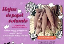 Hojas de papel volando en Papantla, Tantoyuca y Coxquihui
